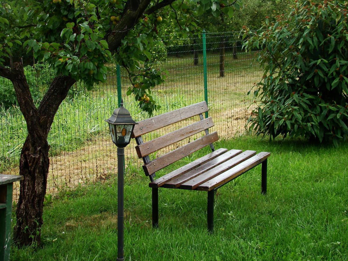 Argeselu Garden Villa-entire floor apartament,exclusive garden access Maracineni Chambre photo