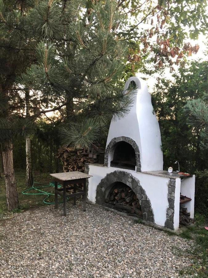 Argeselu Garden Villa-entire floor apartament,exclusive garden access Maracineni Extérieur photo