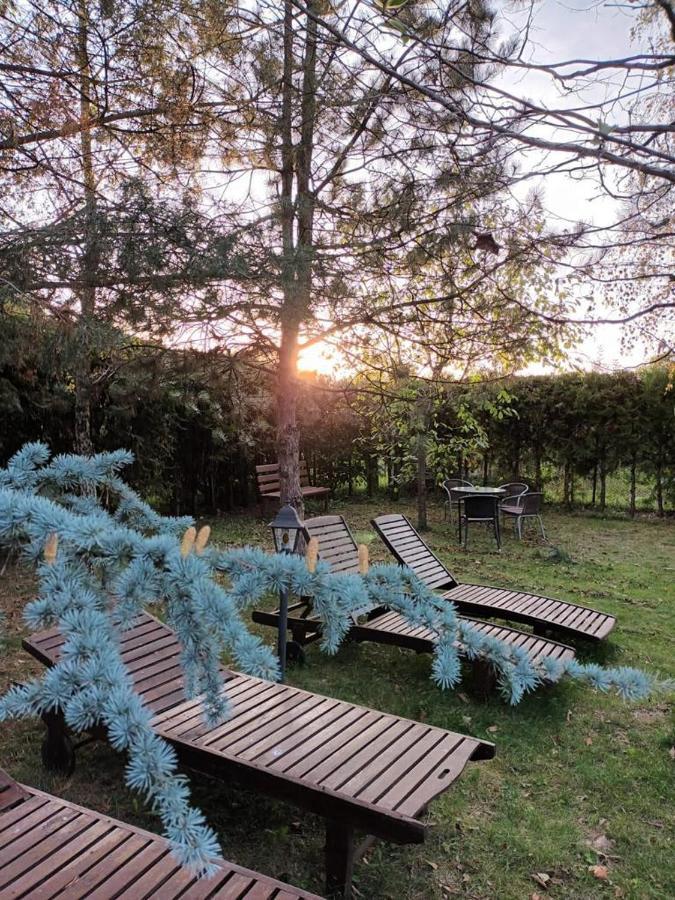 Argeselu Garden Villa-entire floor apartament,exclusive garden access Maracineni Extérieur photo