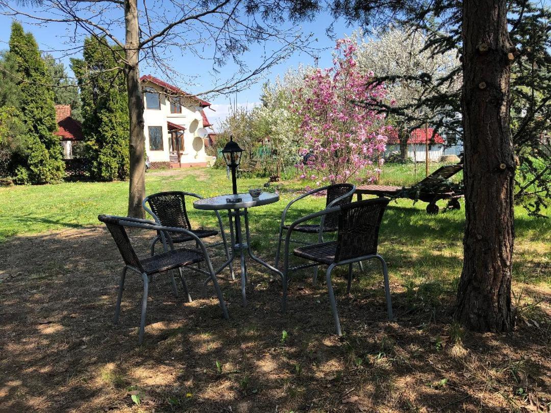 Argeselu Garden Villa-entire floor apartament,exclusive garden access Maracineni Extérieur photo