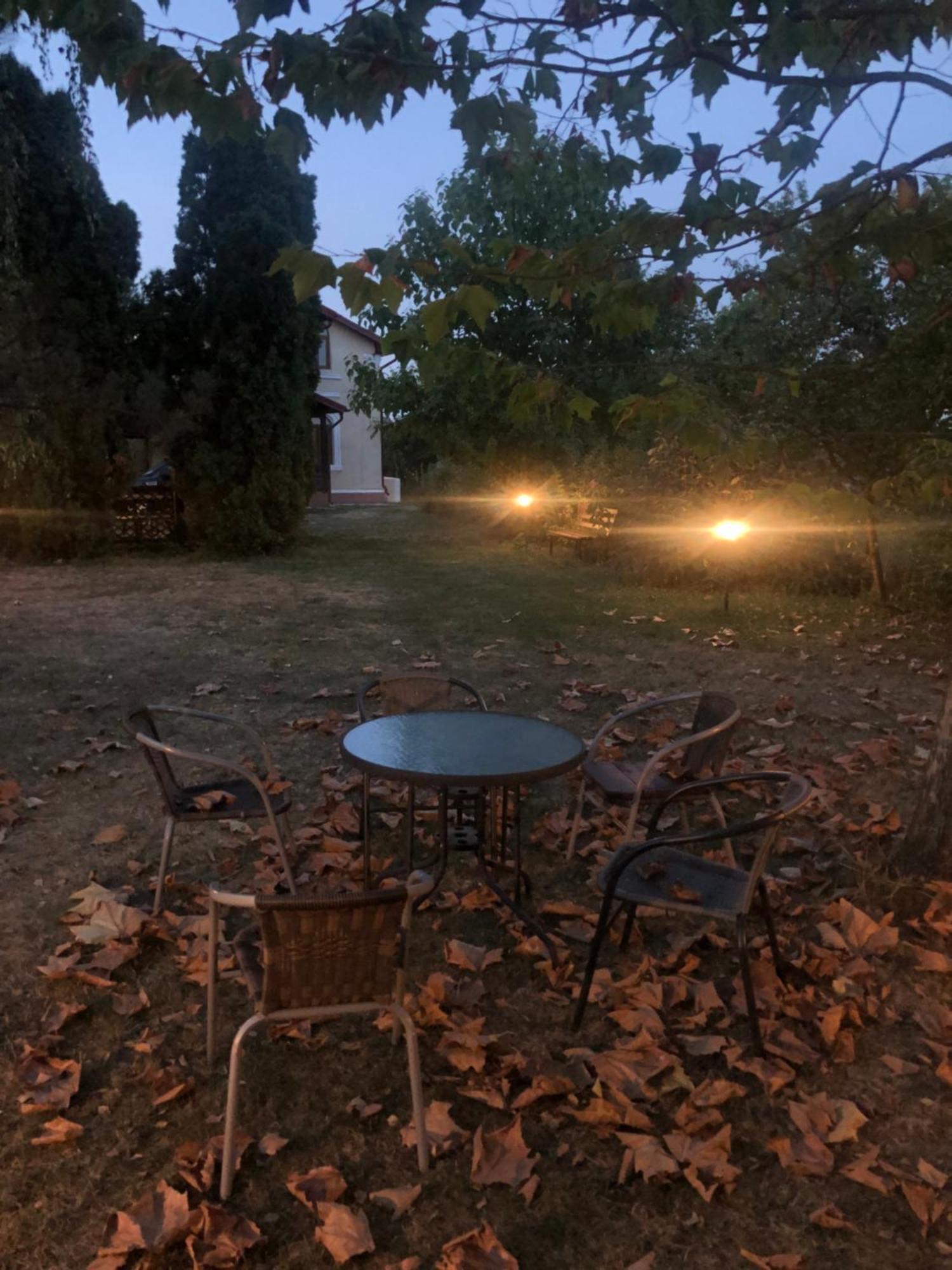 Argeselu Garden Villa-entire floor apartament,exclusive garden access Maracineni Extérieur photo