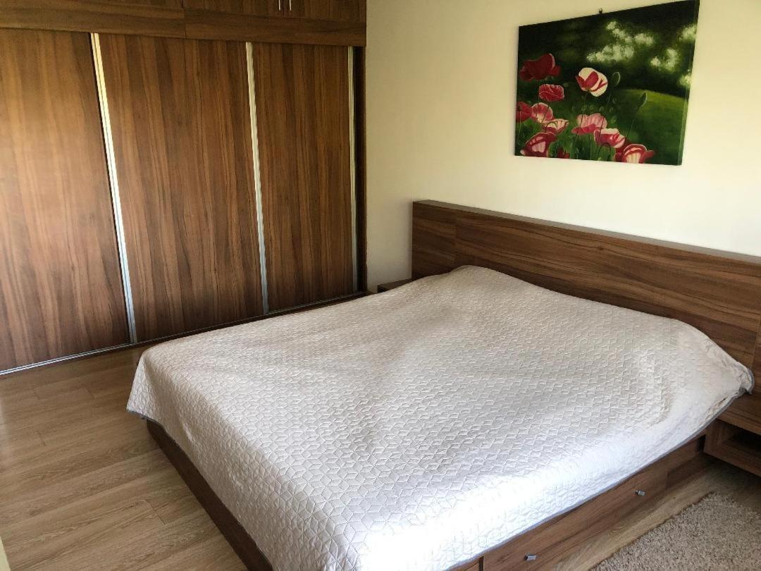 Argeselu Garden Villa-entire floor apartament,exclusive garden access Maracineni Extérieur photo